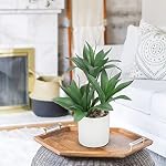 DILATATA Grandes plantes à succulent artificiel Fausse plante à trois têtes à sucent en pot 15" Faux Plant en pot blanc Succulent Aloe Plant intérieur pour le bureau intérieur Salle de séjour Table Décor