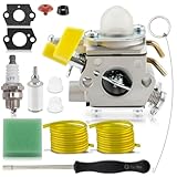 MOTOALL C1U-H60 Carburetor Blower for Homelite Ryobi RY28100 RY28120 RY28121 RY28140 RY28141 RY28160 RY28161 25cc 26cc 30cc Trimmer with AC04122 Air Filter Kit