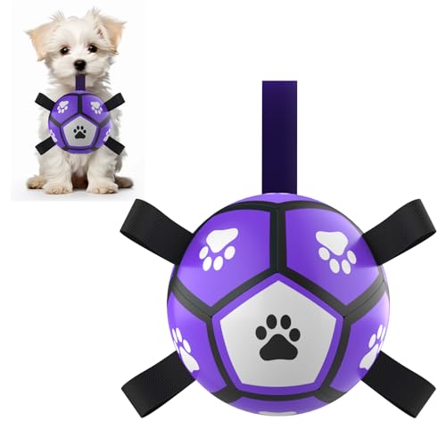 QDAN Dog Toys Soccer Balls: Interactive Dog Toys for Tug of War, ...