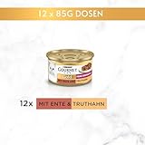 Gourmet Gold Feine Komposition Katzenfutter nass, mit Ente und Truthahn, 12er Pack (12 x 85g)