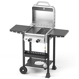 Propane Gas BBQ Grill 2-Burner Barb...
