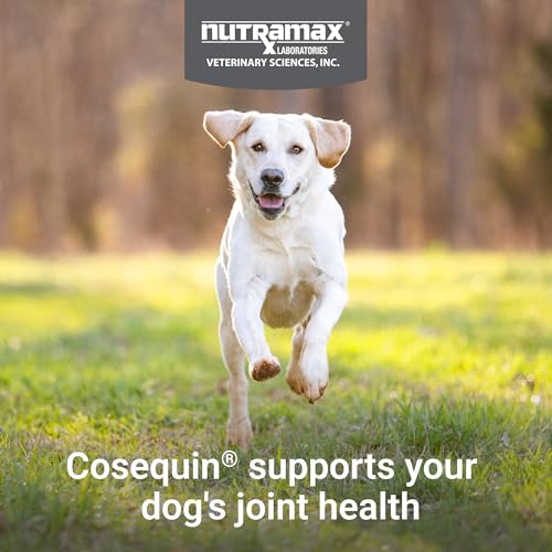 Nutramax Cosequin for Dogs Joint Health Supplement, Contains Glucosamine, Plus Chondroitin, MSM and Omega-3s, Supports Joint and Skin and Coat Health, Soft Chews, 120 Count - Image 4