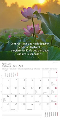 Lichtblicke 2017: Worte aus der Bibel