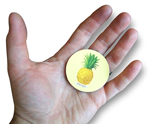 Imanes decorativos de piña, 2 pulgadas, juego 10 unidades miniatura 4