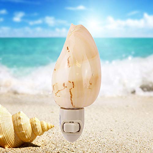 WPYST Authentic CERITHS Shells Seashell Night Light Lamp
