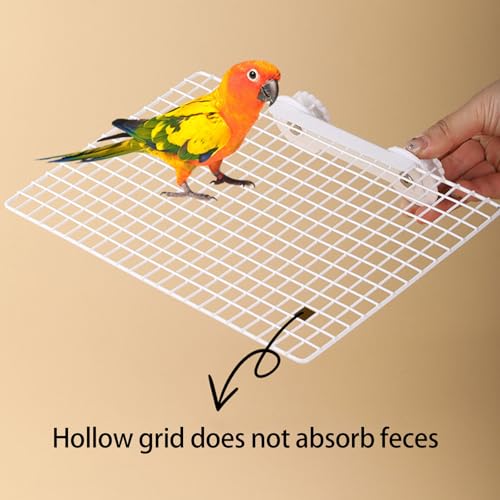 Jouet pour oiseaux et support à bascule pour stimuler votre perroquet - 5