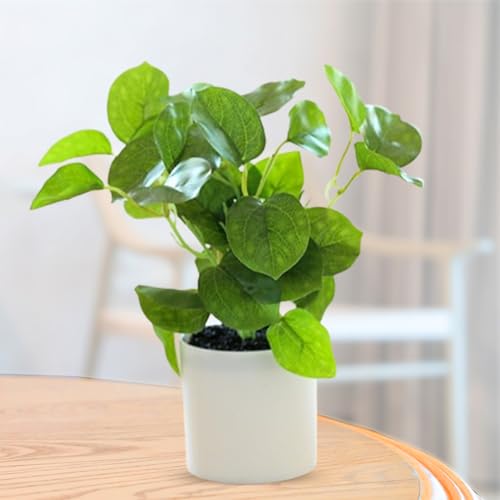 Best Artificial Hanging Plants for Your Home 5 Ekhasa Nostrae Money Plant, Pothos Artificial Plants for Home Dec...