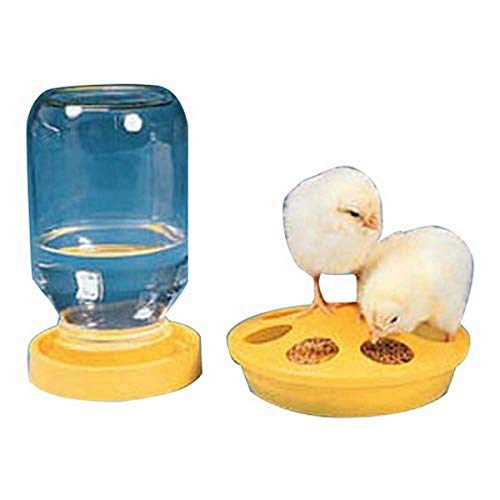 Biolab DH 674615 fontein voor kuiken