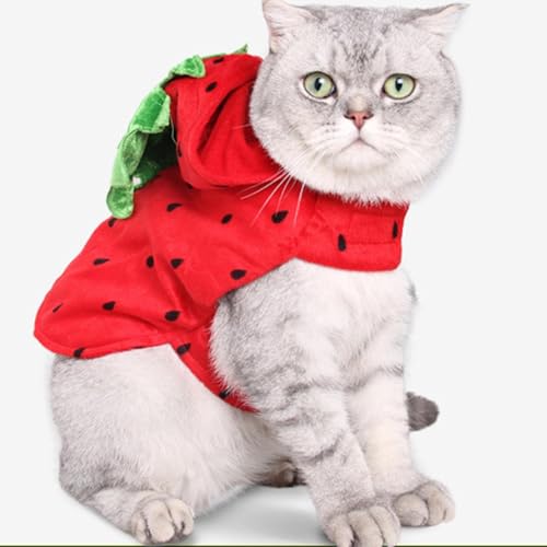 Fantasia de cachorro pequeno morango, fantasia de cachorro de Halloween com morango - Suéter gatinho