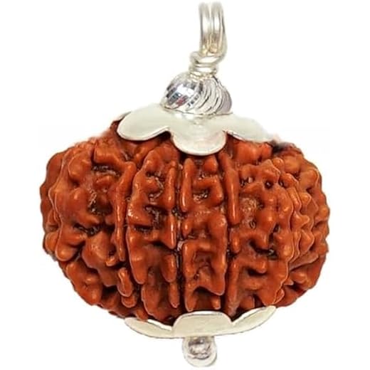 12 Mukhi Rudraksh Pendant with Silver Cap
