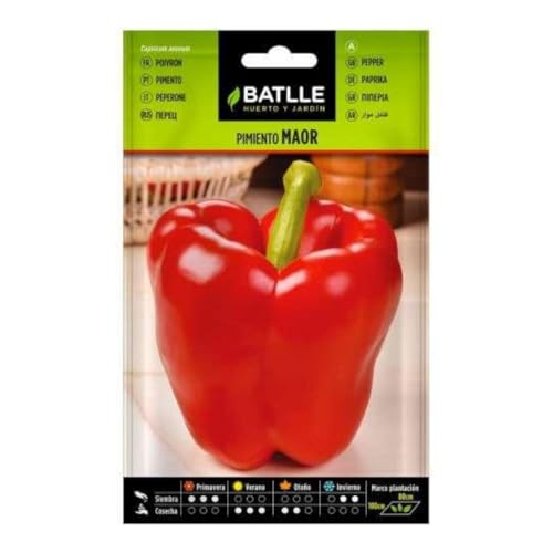 Semillas de Pimiento Maor