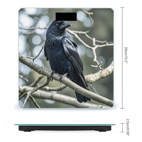 Báscula digital de baño con pantalla LCD y vidrio templado miniatura 2