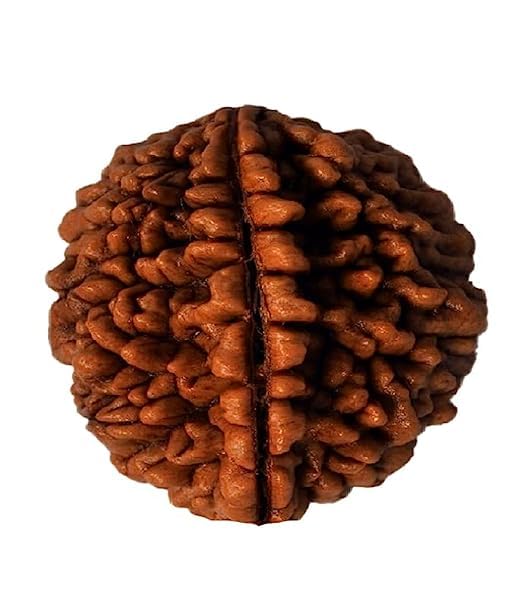 See full amazon price history chart for Gems Shop 1 Mukhi Indonesia Rudrakash Auspicious Brown Bead Eka Mukhi Rudrakash Original Quality Indonesia Gems Shop 1 Mukhi Indonesia Rudrakash Auspicious Brown Bead Eka Mukhi Rudrakash Original Quality Indonesia (B0C7QQCVC5) Amazon Price History, Amazon Price Tracker