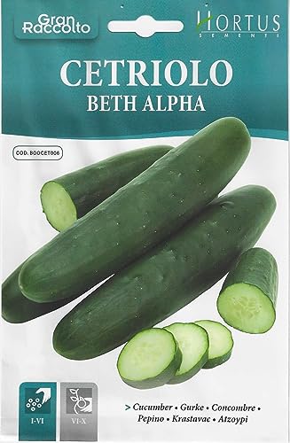 Hortus Cucumber Premium Quality Seeds (Cetriolo Beth Alpha) ...