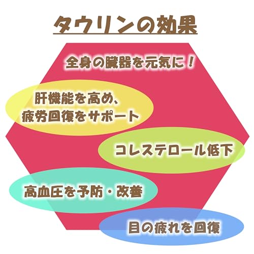 田村薬品工業 リキセー2000 100mlx10本 の商品画像 5