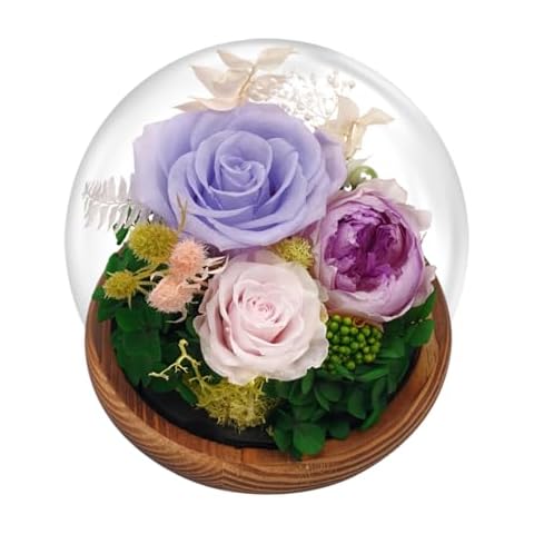 Eightown Preserved Red Roses in Glass Dome Cover