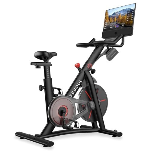 YESOUL G1M Plus Heimtrainer Ergometer, Leises Indoor Fitnessbike für Kardio Training mit Neuem 21,5' FHD-Bildschirm, Magnetischem Widerstand, 360°-Sound & Bildschirmspiegelung