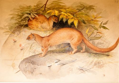 Posters et art Eyra de Wolf de qualité supérieure pour décoration murale