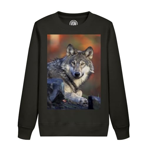 Sweatshirt enfant prédateur loup pull chaud nature sauvage en molleton