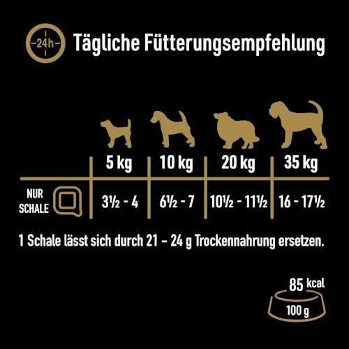 Cesar Natural Goodness Premium Hunde Nassfutter in der Schale Terrine Getreidefrei Superfoods mit Rind 16x100g