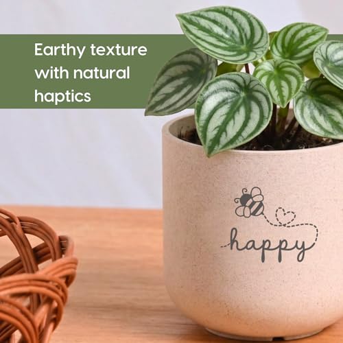 Image of Eha Earth-Friendly Printed Small Terrapod Planters with Tray for Home Decor | 3.5 Inch, Pack of 3 | Plant Gifts Made with Rice Husk Biocomposite | Flower Pot for Living Room| Sand Castle