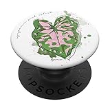 Lepinior Syngonium Rosa Variegata