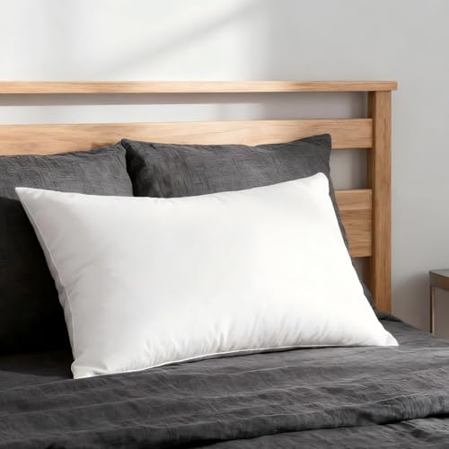 Shilucheng Canadian Goose Down Pillow Queen 20"x30