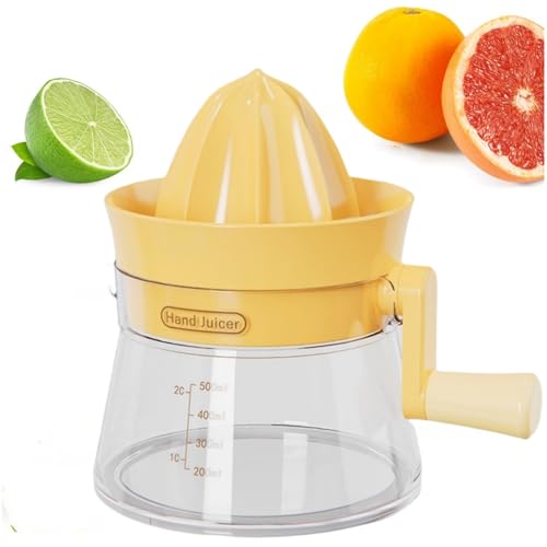 nhVgXW[T[}V - 蓮CVgXIWW[XiA|[^uX[t[cvXT[o(IW)