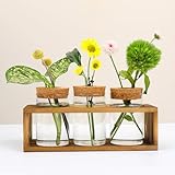 Pechaut Propagation Station for Plant Growth, Ideal Gifts for Women, Enhances Home Dcor, Ideal Indoor Centerpiece for Plant Lovers, Brown
