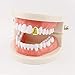 4 Pieces 14K Plated Gold Grillz Single Grill Cap Hip Hop Top Tooth Shiny Hip Hop Teeth Top Tooth Single Grill Cap Party Accessories Teeth Grills