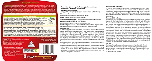Unkrautvernichter Roundup Express Unkrautfrei, gebrauchsfertige Lösung