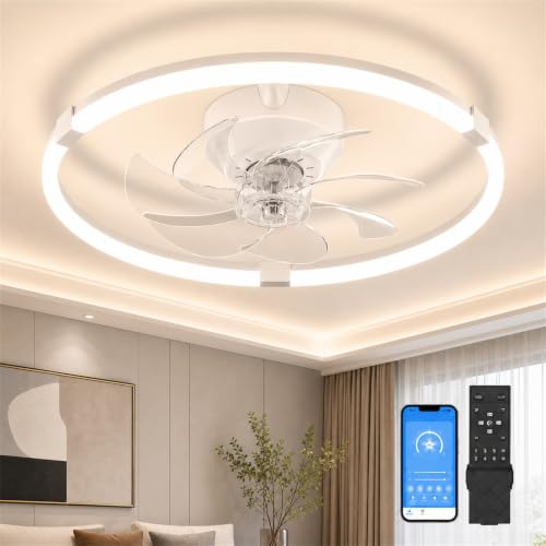Lujeet Ventilateur Plafond 20" Chambre avec Lumières et Télécommande