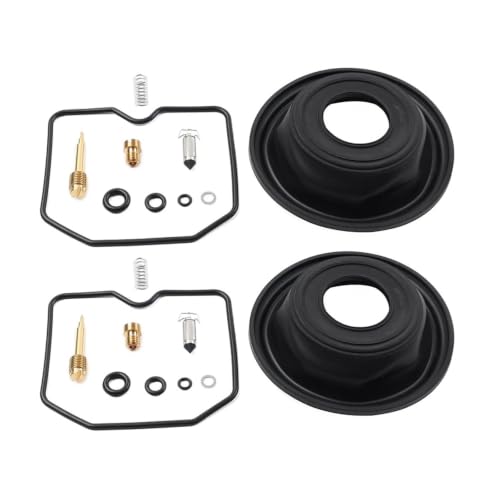 Kit réparation carburateur Kawasaki KLE400 élimine ratés moteur et fuites cuve