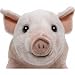 Imagen de Carl Dick Peluche Puerco, Cerdito Felpa 27cm 3364