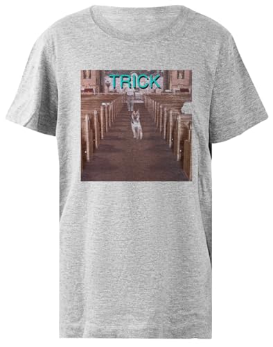 T-shirt Alex G Trick Kid Grey confortable pour exprimer votre passion