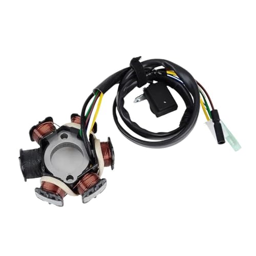Bobine de stator de magnéto à haute isolation pour moteur DS90 et DS70