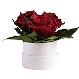 ROSEMARIE SCHULZ Heidelberg