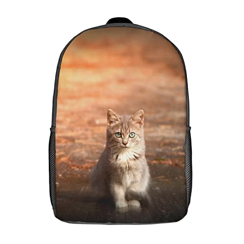 Sac à dos scolaire robuste chat fini le mal de dos avec ce grand cartable