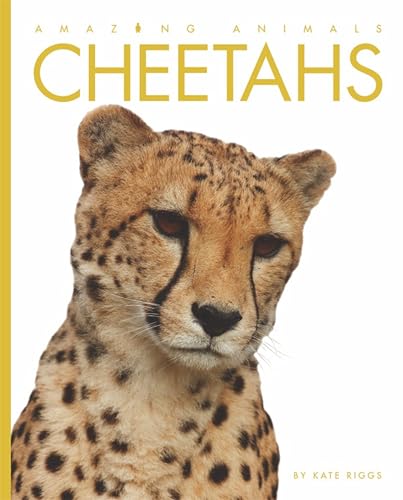 Amazing Animals: Cheetahs