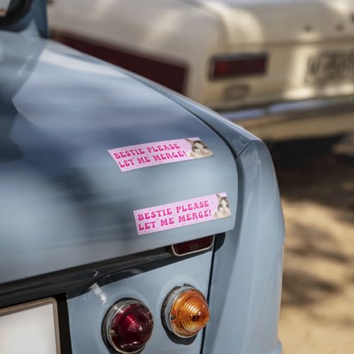 Image of 3 Pcs Bestie Let Me Merge Bumper Sticker, Funny Dog Cat Gen Z Meme, Bestie Please Let Me Merge Bumper Sticker, New Driver Stickers for Vehicle Decal for Car Truck Laptop Phone Helmet 5 inchx5 inch (Cat)