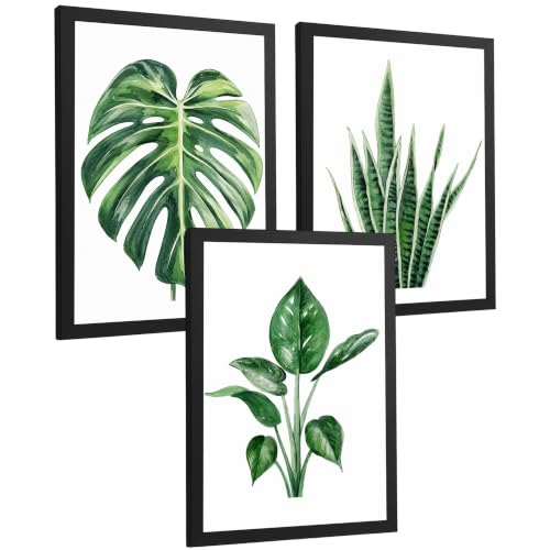 Nacnic Posters Botánicos Tropicales Monstera, Sansevieria y Arte de Follaje