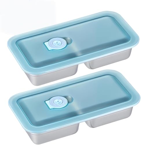 PHFDQKG Caja de refrigerios de acero inoxidable con doble compartimento y tapa transparente para viajes y campamentos al aire libre.