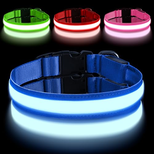 AUAUY Collare LED Ricaricabile per Cani con Porta Tipo C, Collare per cani a LED regolabile con 3 modalità di illuminazione, impermeabile, per cani di taglia piccola, media e grande (M, blu)