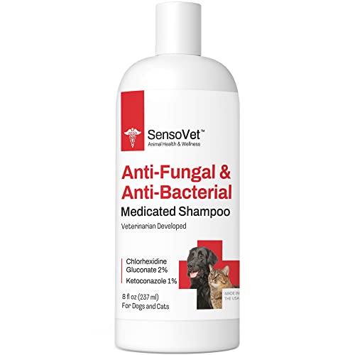 Antifungal Shampoo For Ringworm Walmart at Steve Corkery blog