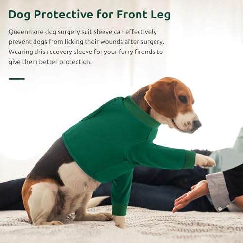 Image of Queenmore Dog Recovery Suit for Front Legs, Adjustable Dog Leg Sleeves to Stop Licking, Breathable Recovery Sleeve for Large Breeds, Wound Care for Pets, Green, L