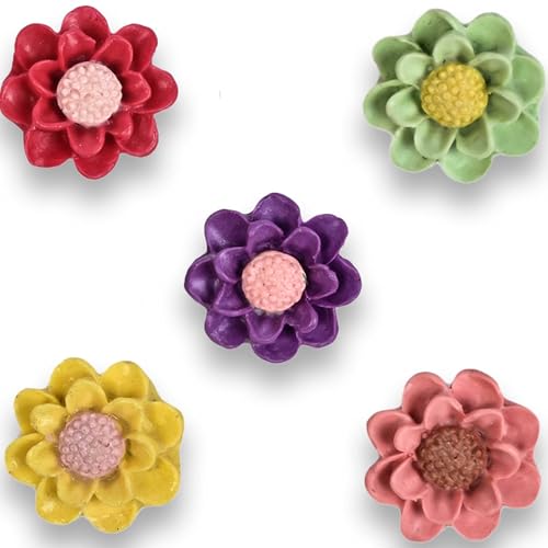 Image of MEISIE Hijab Safety Pins: Strong, Stylish, & Multifunctional Stylish Safety Brooch Combo for Women & Girls | Hijab Jewerelly Accessory (Multi, 5)