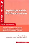  Psychologie sociale des Réseaux Sociaux: 10 fiches pour comprendre