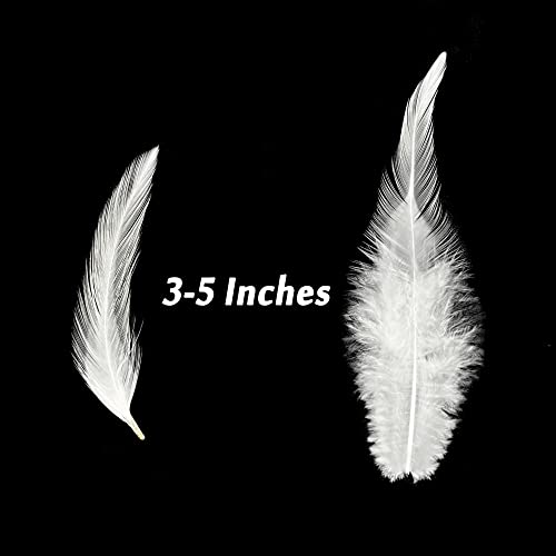 White Rooster Feathers For Crafts Dreamcatcher Fringe Trim Colored Feathers （100Pcs White） #TOP2