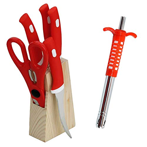 Primelife Stainless Steel Regular Gas Lighter for Kitchen Stove & Knife Set for Kitchen with Wooden Stand, Knife Set for Kitchen use – Multicolor (Knife Set + Lighter Mod)