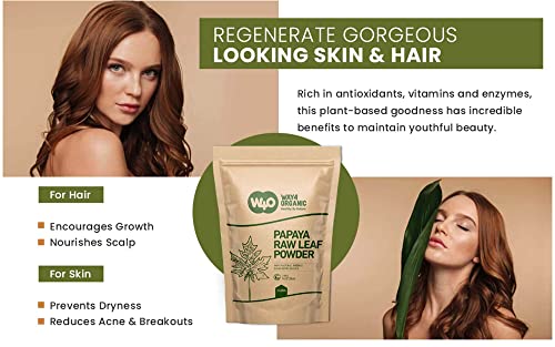 Way4Organic Papaya Leaf Powder 16 Ounces(1 Pound), Dried from Fresh Green Leaves, Good to Make Tea, Juice Extract, (No Fruit, No Seeds)
